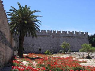 Old Town