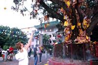 Wishing Trees